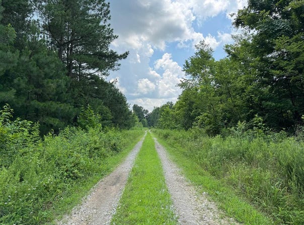 Lot 1 Stroud Lane, Centertown, KY 42328