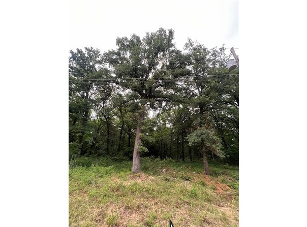 117 Inca Trail, Mabank, TX 75156