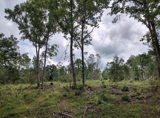 00576 Red Hill Road, Edgefield, SC 29824