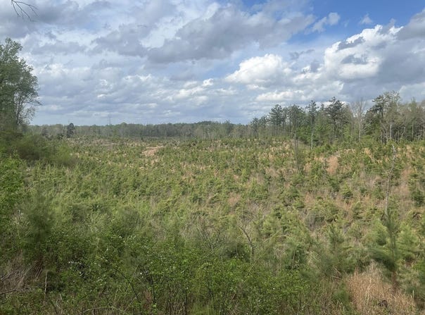County Rd 78, Carrollton, MS 38917
