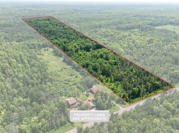 20 Acres TBD Dukes Road, Skandia, MI 49885