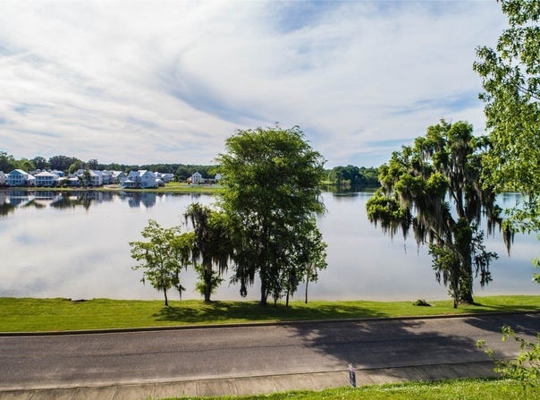 262 Lake Cameron Drive, Pike Road, AL 36064