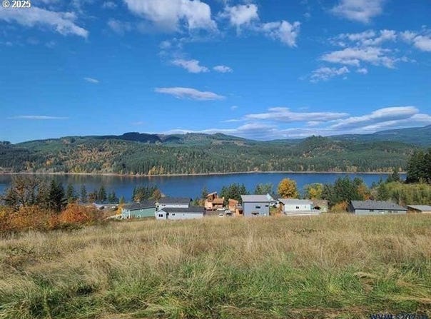 Viewpoint Lane, Foster, OR 97345