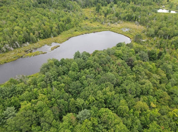 195 Bush Rd, Galboa, NY 12076