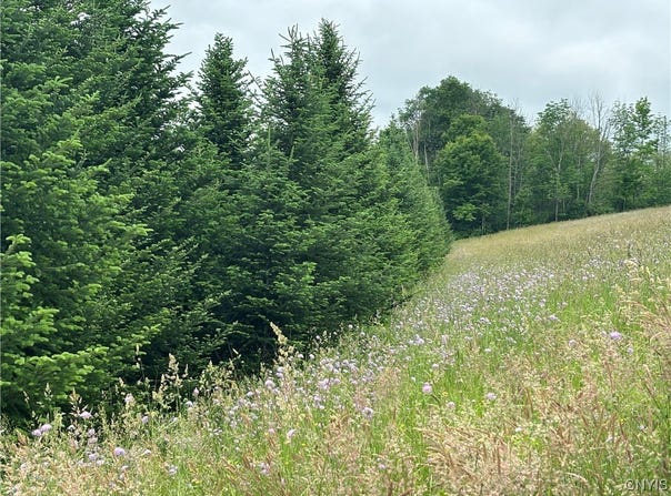 Mcgraw Marathon Road, Marathon, NY 13803