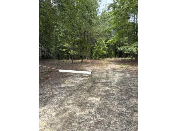 Cemetery Road, Elko, SC 29826