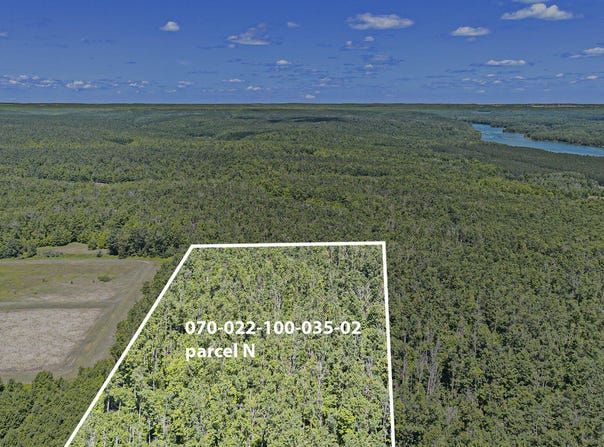 V/L Parcel N Mt. Frederick, Gaylord, MI 49735