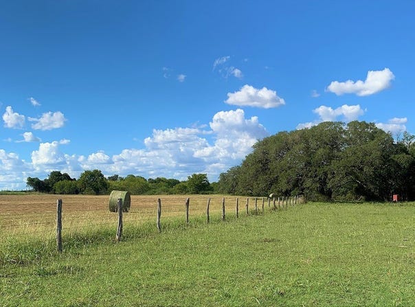 672 County Road 372, Shiner, TX 77984