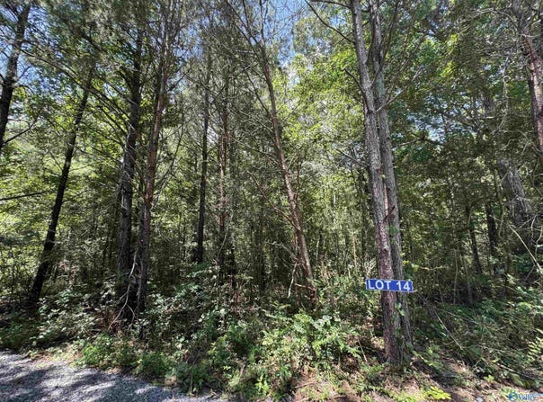 14 Hogs Lane, Albertville, AL 35951