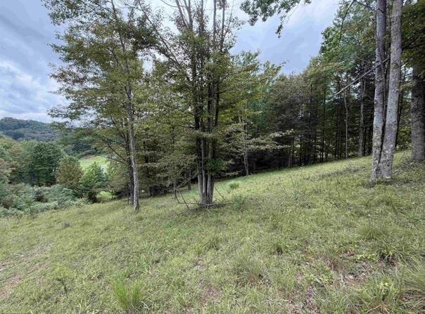 Fawn Lane, Buckhannon, WV 26201
