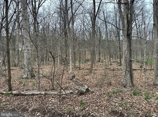 TIMBERLAKE ESTATES - LOT 24, NEW CREEK, WV 26743