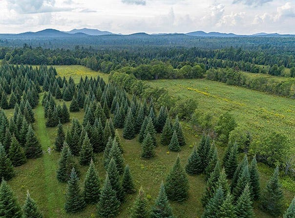412 NYS Route 86, Saranac Lake, NY 12983