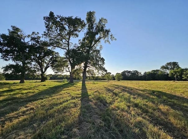 County Road 3512, Dike, TX 75437
