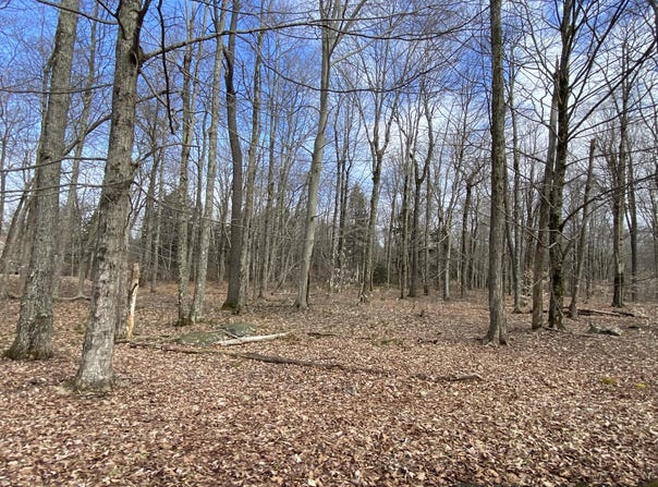 1018 W Wadi Road W, Pocono Lake, PA 18347