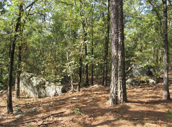 38 Antlers Road, Antlers, OK 74523