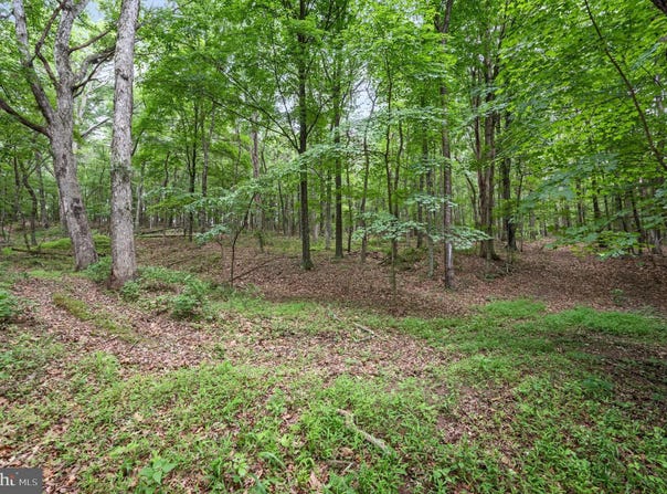 1202 PACK HORSE ROAD, CROSS JUNCTION, VA 22625