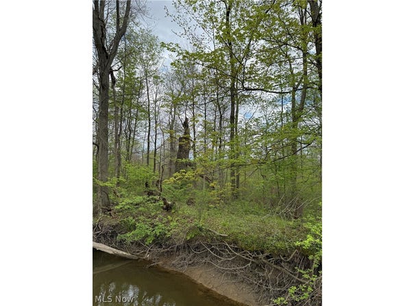 V/L Donley Road, Middlefield, OH 44062
