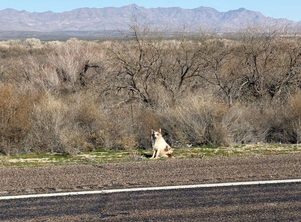 W Highway 70 lot: 001A, Pima, AZ 85543