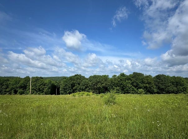 Lickingville Rd, Lickingville, PA 16332