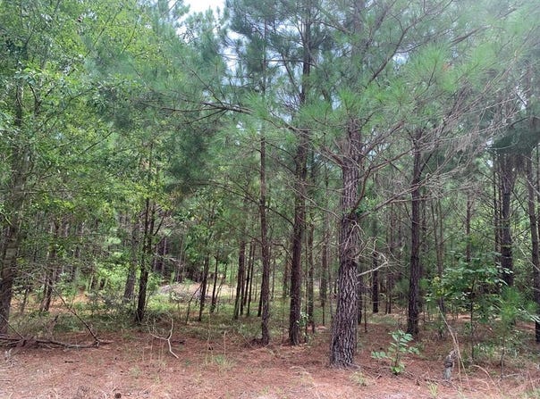 0000 Rabbit Den Road, Rembert, SC 29128