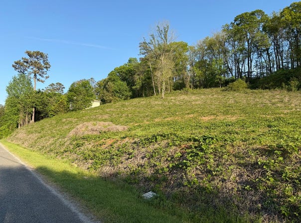 00 Tawannah Cir, Hokes Bluff, AL 35903