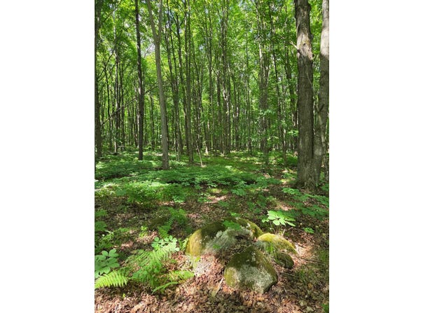 10555 EASEMENT Road, TIPLER, WI 54542