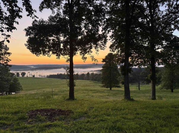 3283 Dodd Mtn. Road, Shirley, AR 72153