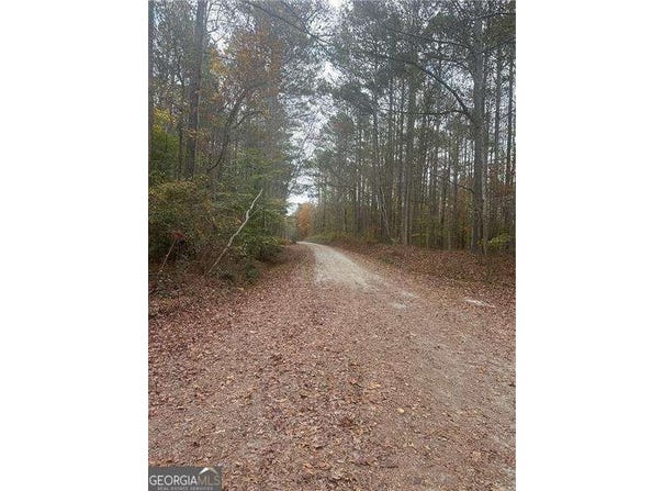 9905 BRAZELL, Palmetto, GA 30268