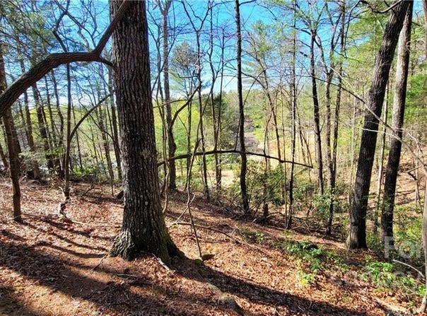 Boyd Moore Avenue, Morganton, NC 28655