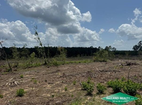 0 Hwy 155, Quitman, LA 71268