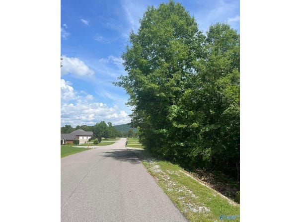 Lot 3 Meadow Creek Road, Glencoe, AL 35905