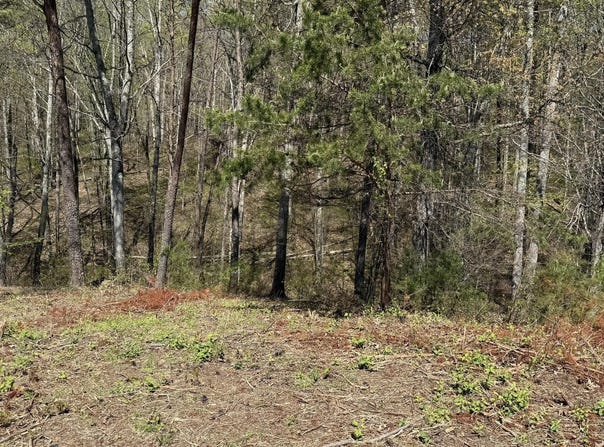 475 Bayside Boulevard, Bean Station, TN 37708
