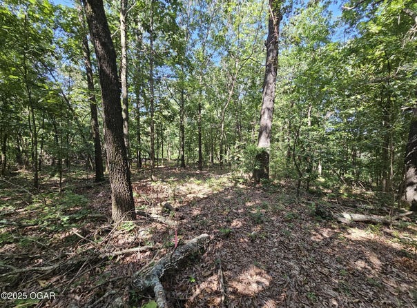 65 acres Plainview Road, Anderson, MO 64831