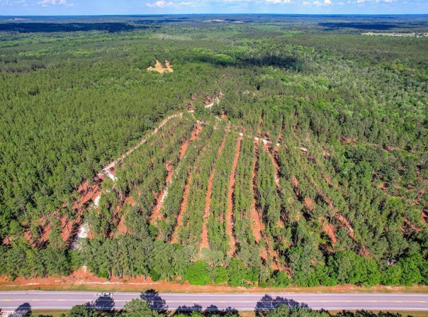 80 Acres Columbia Highway N, Ridge Spring, SC 29129