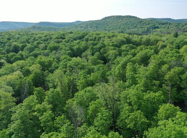 000 Canada Hollow Road, Millport, PA 16748