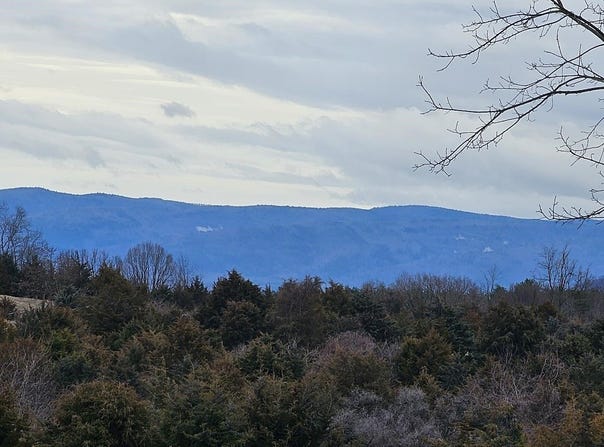 BERRY FARM RD lot: 5, STAUNTON, VA 24401