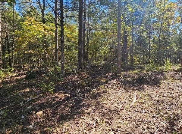 Rolling Hills Block 11 Lot 22, Theodosia, MO 65761