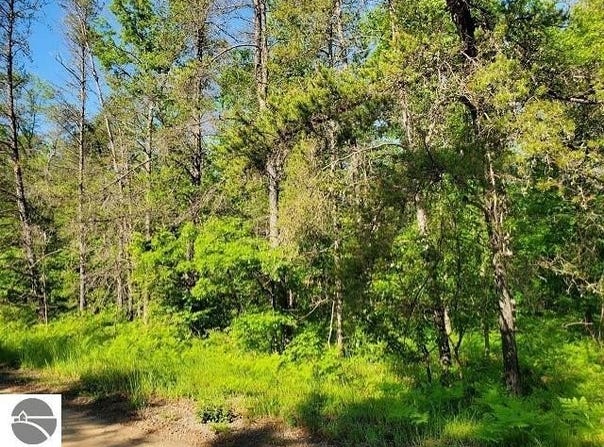 Quigley Road, Alger, MI 48610