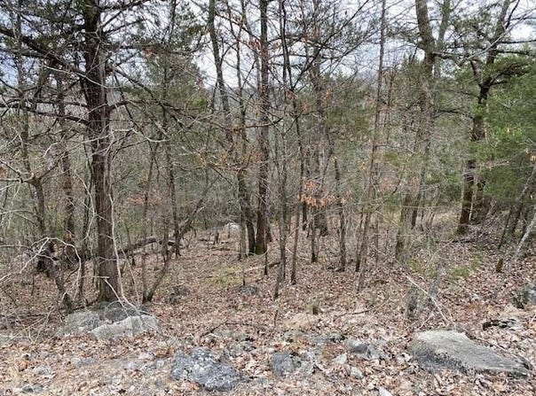 125 Beaver  CIR, Holiday Island, AR 72631