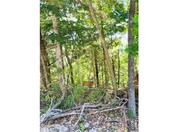 Oak Leaf Circle lot: 94, Garfield, AR 72732