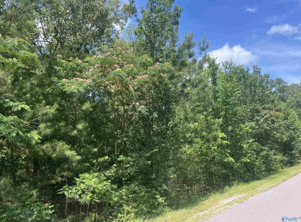 Lot 2 Meadow Creek Road, Glencoe, AL 35905