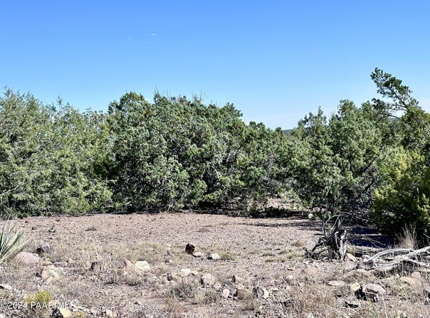 Lot 1173 N Wonderland Way, Seligman, AZ 86337