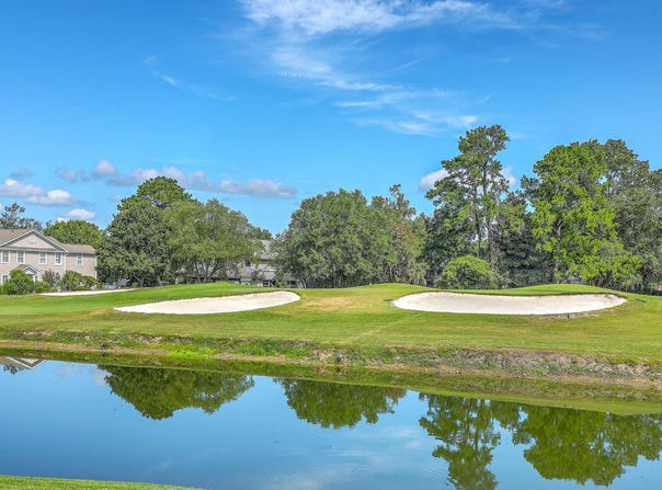 6 Roslyn Drive, Charleston, SC 29414