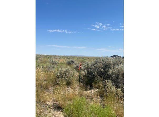 12 Hog Tommy Road, Spring Creek, NV 89815