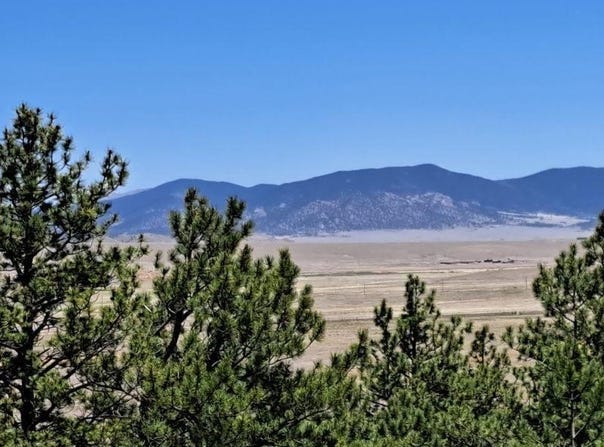 550 WOROKA TRAIL, Hartsel, CO 80449