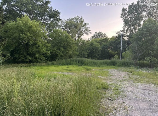1463 Onondaga Road, Holt, MI 48842