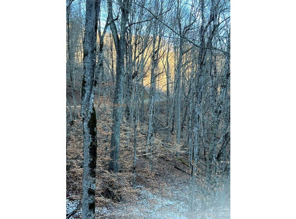 Bee Tree Lane unit: 69, Mars Hill, NC 28754