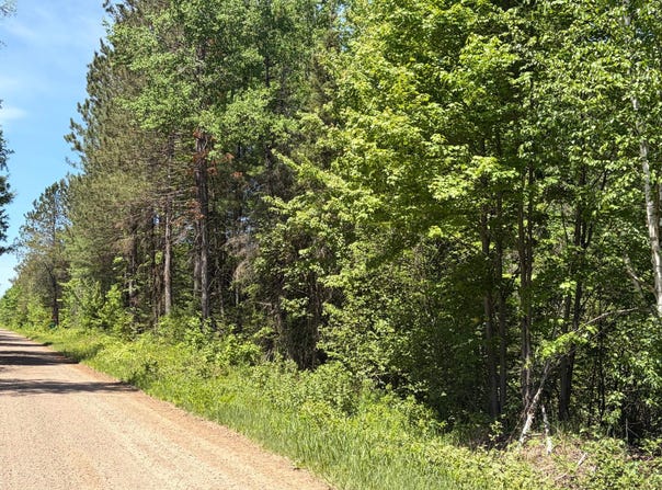 ON WILSON SCHOOL RD, Tomahawk, WI 54487