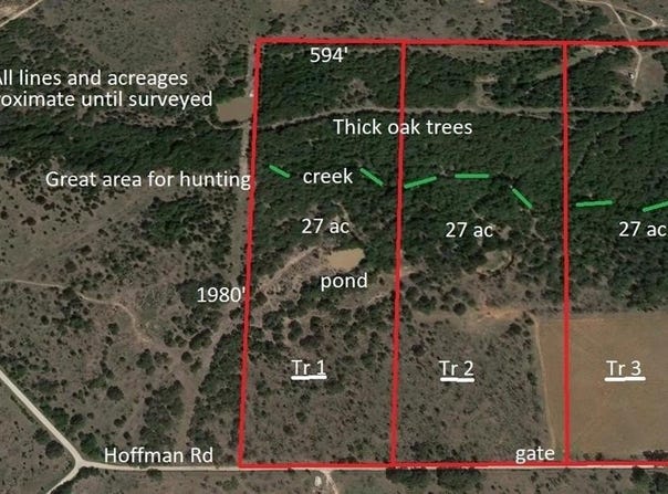 Tr 1 Hoffman Road, Loving, TX 76460