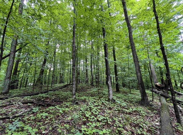LOT 9 STACEYWOOD CIRCLE, BELLAIRE, MI 49615